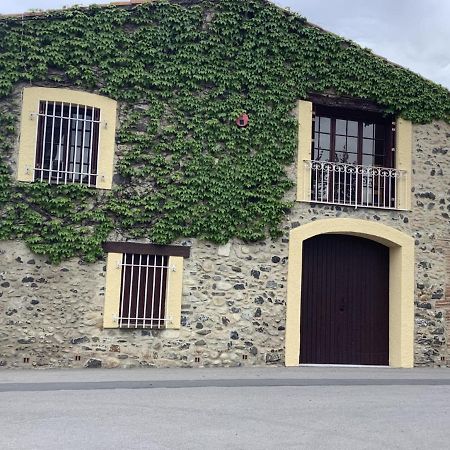 Mas Grandiflora Villa Espira-de-l'Agly Exterior foto