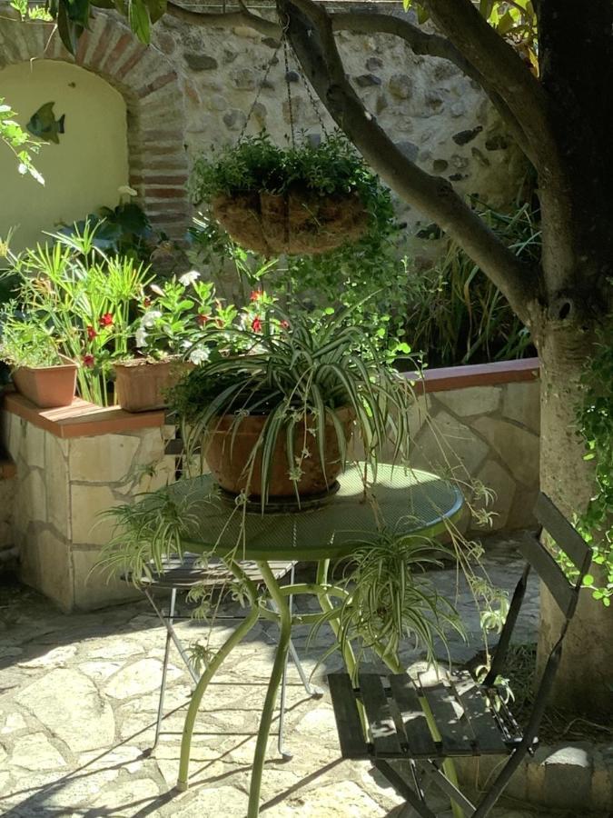 Mas Grandiflora Villa Espira-de-l'Agly Exterior foto